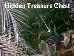 treasure chest hunt